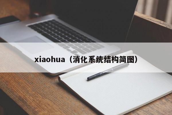 xiaohua（消化系统结构简图）