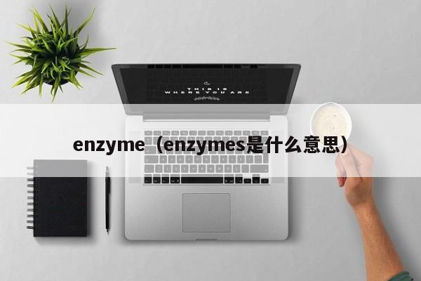 enzyme（enzymes是什么意思）